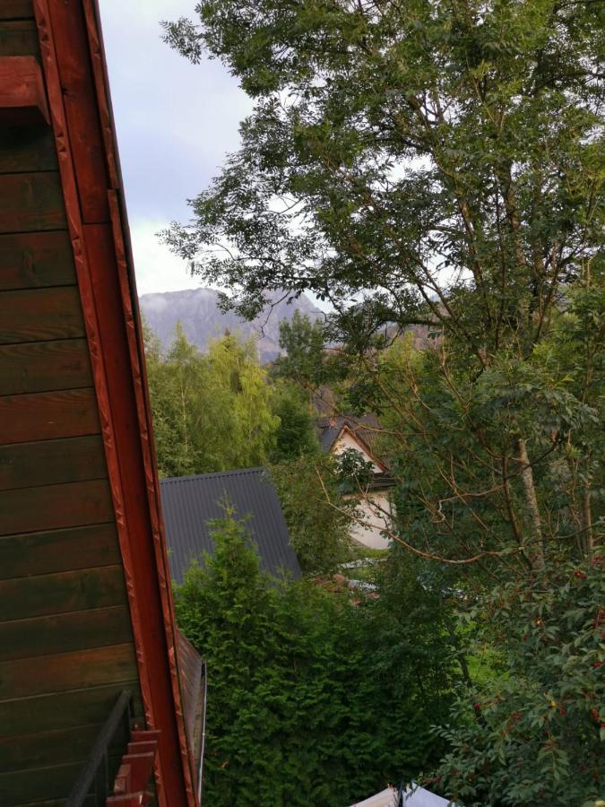 Dom Goscinny U Hanki Zakopane Eksteriør bilde
